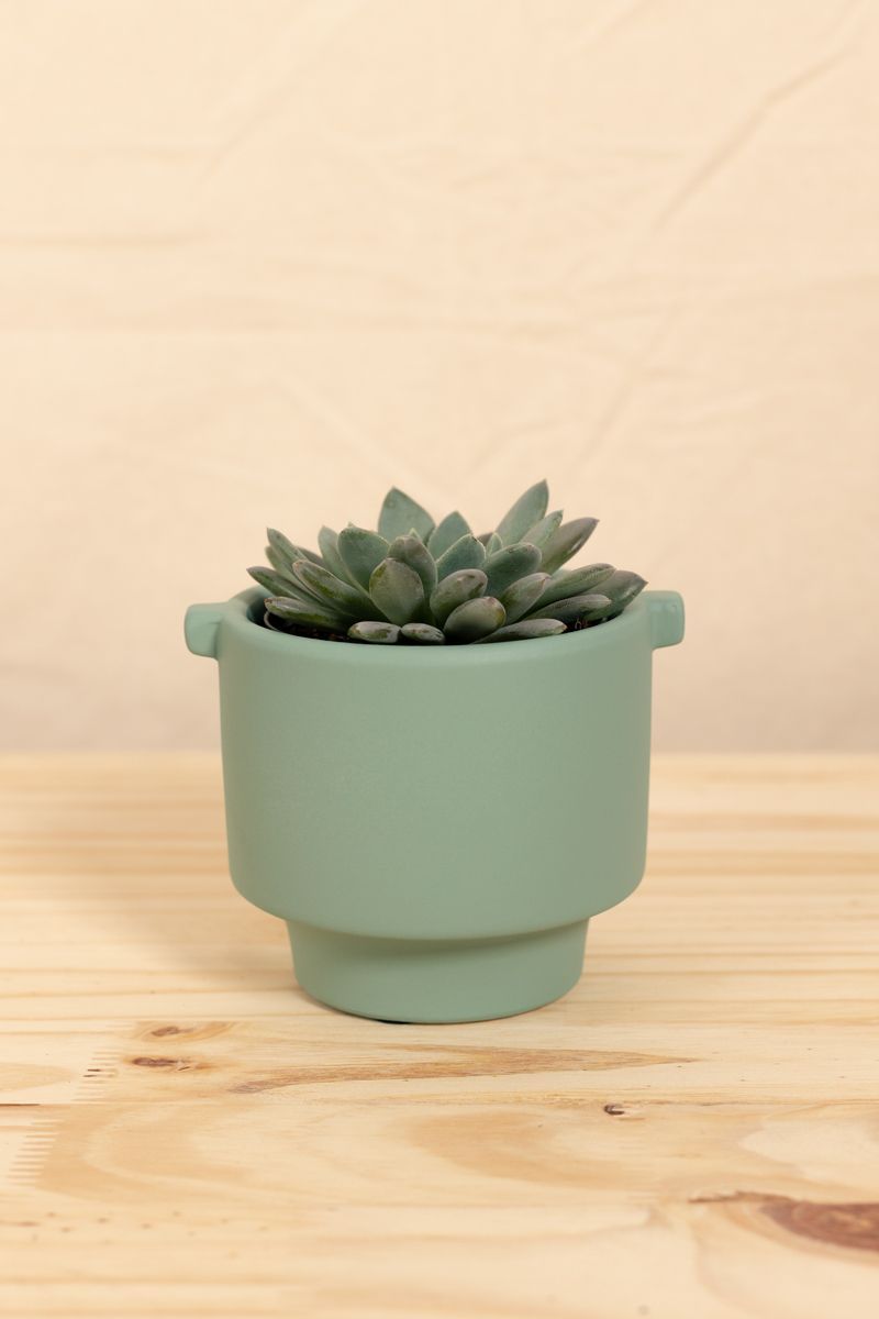 Vaso fosco verde p