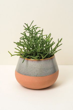 Vaso-malmo-largo-p