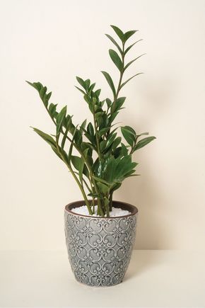 Vaso-preto-boho