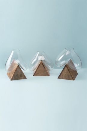 Vaso-dali
