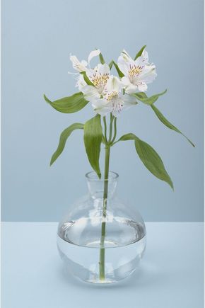 Vaso-vidro-balao