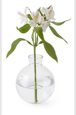 Vaso-vidro-balao