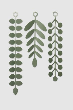 Folhagem-decorativa-spruce