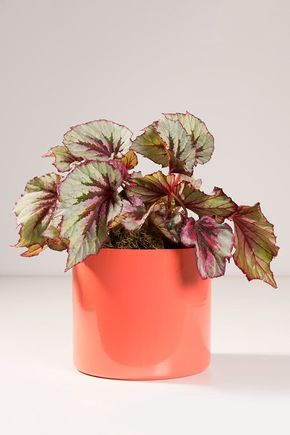 Vaso-cachepot-aluminio-rosa
