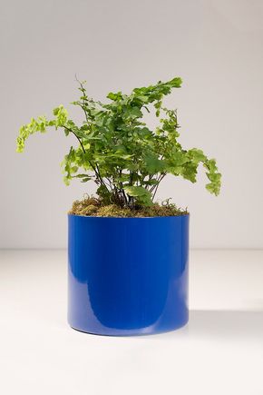 Vaso-cachepot-aluminio-azul