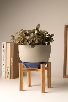 Vaso-com-pe-de-madeira-azul-m