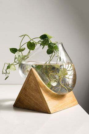 Vaso-dali