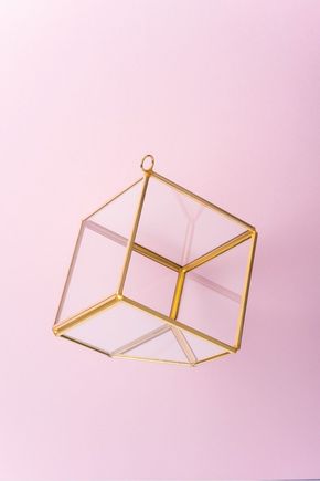 Terrario-box