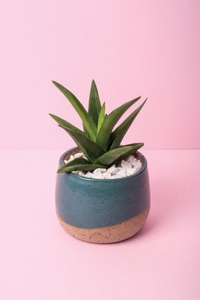 Vaso-chamote-verde-agua
