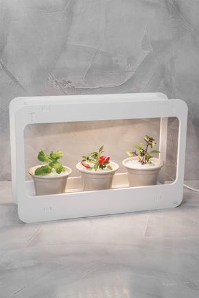 Luminaria-grow-para-cultivo-de-plantas