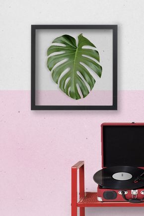 Quadro-para-vinil