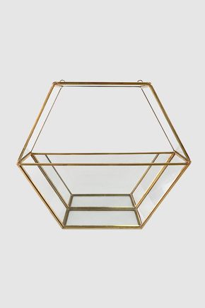 Terrario-hexagonal-de-parede