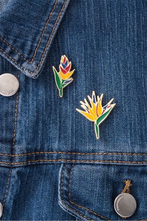 Conjunto-de-pins-heliconia