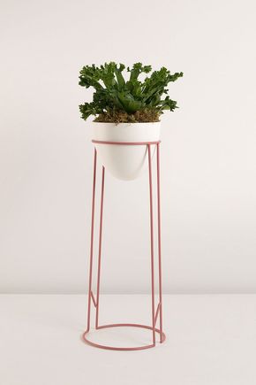 Vaso-com-tripe-base-terracota-m