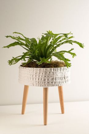 Vaso-tripe-veios-brancos