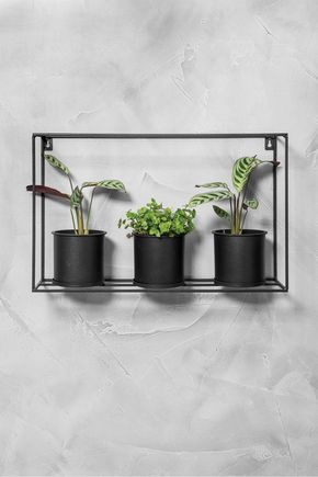 Conjunto-3-vasos-parede-preto