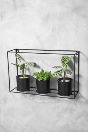 Conjunto-3-vasos-parede-preto