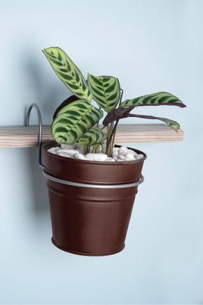 Suporte-para-vaso-metal