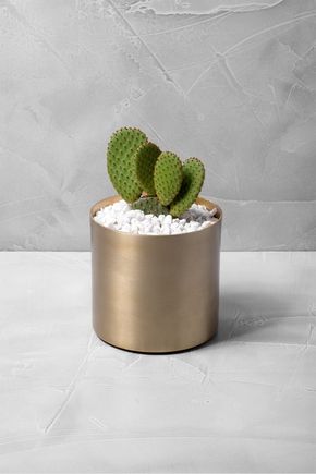 Vaso-dourado