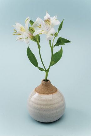 Vaso-solitario-acqua