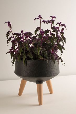 Vaso-tripe-preto