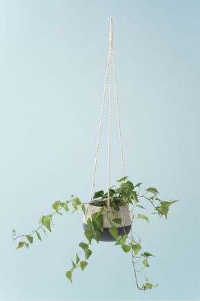 Vaso-pendente-respingos-acqua