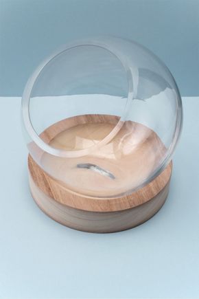 Terrario-com-base-de-madeira-bola