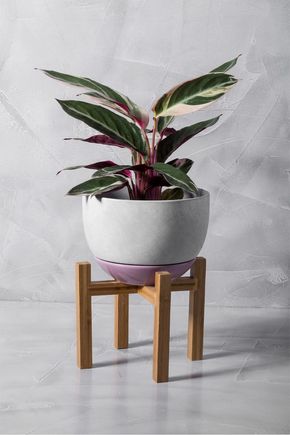 Vaso-com-pe-de-madeira-m