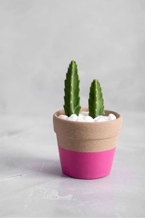 Vaso-ceramica-rosa