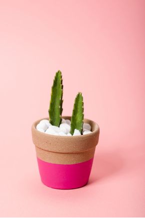Vaso-ceramica-rosa