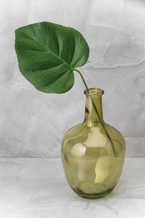 Vaso-garrafa-oliva
