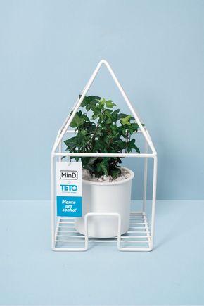 Vaso-casa-teto