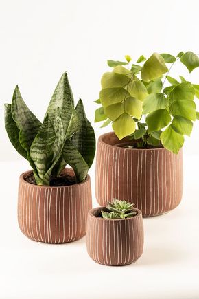 Conjunto-de-3-vasos-terracota-linhas