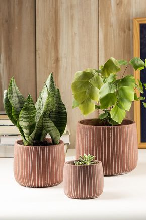 Conjunto-de-3-vasos-terracota-linhas