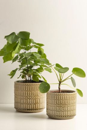 Conjunto-2-cachepots-oliva