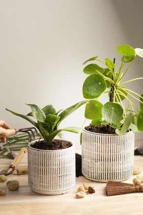 Conjunto-de-cachepots-ceramica-pb