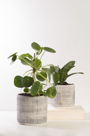 Conjunto-de-cachepots-ceramica-pb