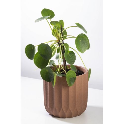Vaso-cimento-linhas-terracota Vaso-cimento-linhas-terracota