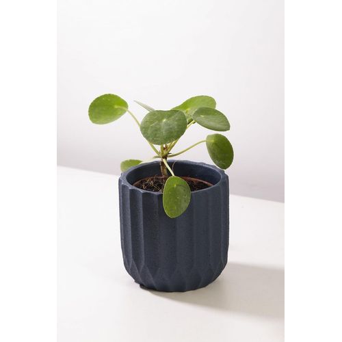 Vaso-cimento-linhas-azul Vaso-cimento-linhas-azul