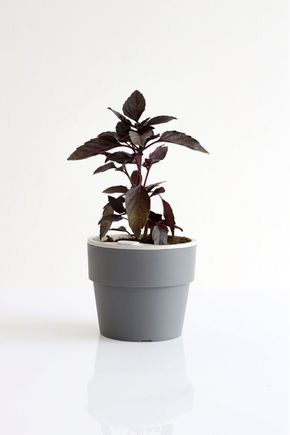 Vaso-autoirrigavel-m-chumbo
