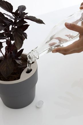 Vaso-autoirrigavel-m-chumbo