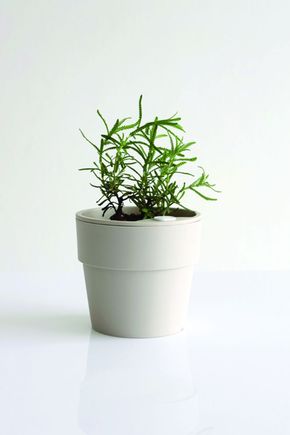Vaso-autoirrigavel--g--areia