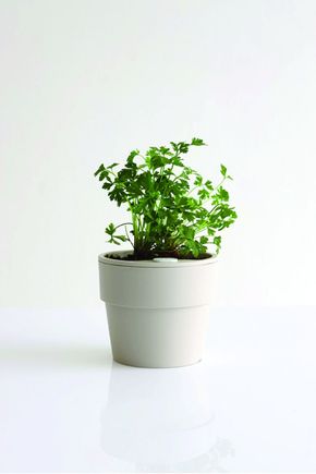Vaso-autoirrigavel-m--areia