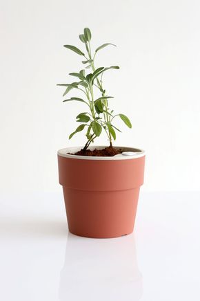 Vaso-autoirrigavel-g-terracota