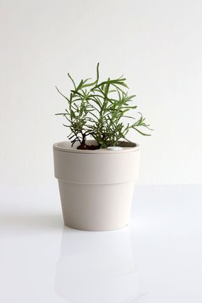 Vaso-autoirrigavel--g--areia