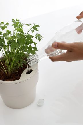 Vaso-autoirrigavel--g--areia