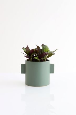 Cachepot-ceramica-verde-abas