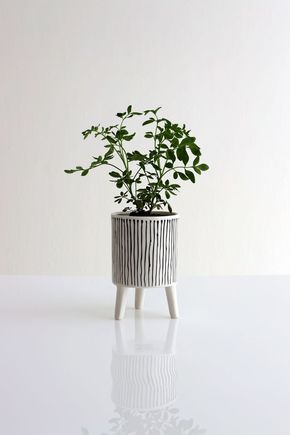 Cachepot-ceramica-linhas-pb-p