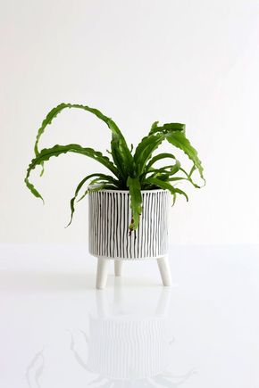 Cachepot-ceramica-linhas-pb-m