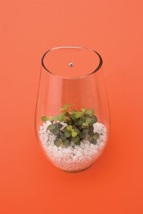 Terrario-parede-ninho